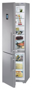 larawan Refrigerator Liebherr CNes 4056, pagsusuri