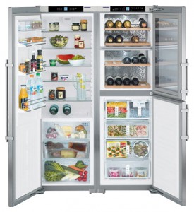 larawan Refrigerator Liebherr SBSes 7155, pagsusuri