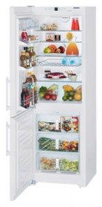 larawan Refrigerator Liebherr CN 3513, pagsusuri