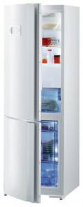 รูปถ่าย ตู้เย็น Gorenje RK 67325 W, ทบทวน