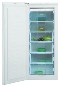 larawan Refrigerator BEKO FSA 21300, pagsusuri