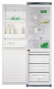 фото Холодильник Daewoo Electronics ERF-385 AHE, огляд