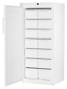 larawan Refrigerator Liebherr G 5216, pagsusuri
