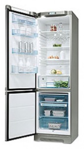 larawan Refrigerator Electrolux ERB 39300 X, pagsusuri