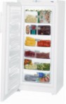 Liebherr GP 3013 Frigo freezer armadio recensione bestseller