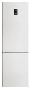larawan Refrigerator Samsung RL-40 ECSW, pagsusuri
