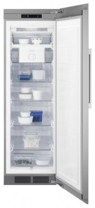 larawan Refrigerator Electrolux EUF 2949 IOX, pagsusuri