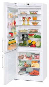 larawan Refrigerator Liebherr CN 5013, pagsusuri