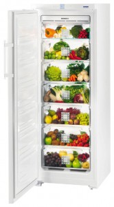 larawan Refrigerator Liebherr B 2756, pagsusuri