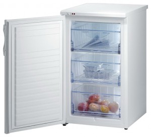 รูปถ่าย ตู้เย็น Gorenje F 50106 W, ทบทวน