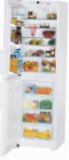 Liebherr CNP 3913 冰箱 冰箱冰柜 评论 畅销书