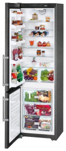 larawan Refrigerator Liebherr CNPbs 4013, pagsusuri