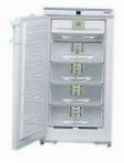 Liebherr GSNP 2026 Frigorífico congelador-armário reveja mais vendidos