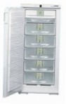 Liebherr GSNP 2426 Frigorífico congelador-armário reveja mais vendidos