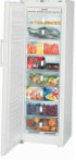 Liebherr GNP 3056 冰箱 冰箱，橱柜 评论 畅销书