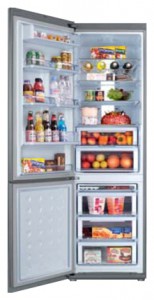 Kuva Jääkaappi Samsung RL-55 VQBRS, arvostelu