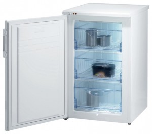 Фото Холодильник Gorenje F 54100 W, обзор