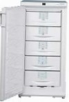 Liebherr GS 2013 Холодильник морозильний-шафа огляд бестселлер