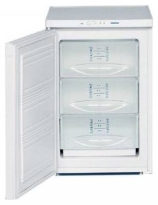 larawan Refrigerator Liebherr G 1211, pagsusuri