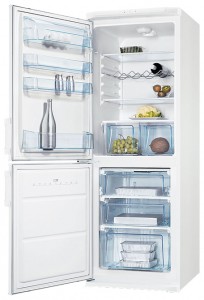 larawan Refrigerator Electrolux ERB 30090 W, pagsusuri
