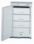 Liebherr GS 1301 Refrigerator aparador ng freezer pagsusuri bestseller
