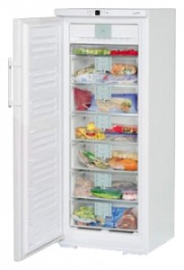 larawan Refrigerator Liebherr GNP 2906, pagsusuri