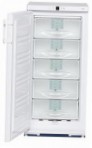 Liebherr G 2013 Refrigerator aparador ng freezer pagsusuri bestseller