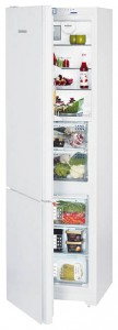 larawan Refrigerator Liebherr CBNPgw 3956, pagsusuri