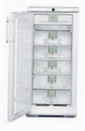 Liebherr GN 2413 冷蔵庫 冷凍庫、食器棚 レビュー ベストセラー