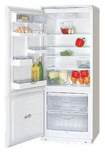 larawan Refrigerator ATLANT ХМ 4009-001, pagsusuri