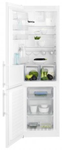 รูปถ่าย ตู้เย็น Electrolux EN 3852 JOW, ทบทวน