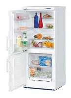 larawan Refrigerator Liebherr CU 2221, pagsusuri