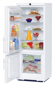 larawan Refrigerator Liebherr CU 3101, pagsusuri