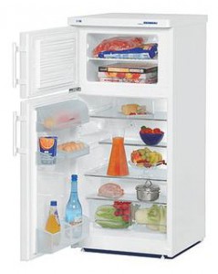 larawan Refrigerator Liebherr CT 2031, pagsusuri