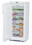 Liebherr GN 2153 ตู้เย็น ตู้แช่แข็งตู้ ทบทวน ขายดี