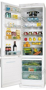 larawan Refrigerator Electrolux ER 9002 B, pagsusuri