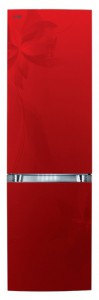 larawan Refrigerator LG GA-B439 TLRF, pagsusuri
