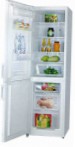 Hisense RD-41WC4SAW Refrigerator freezer sa refrigerator pagsusuri bestseller