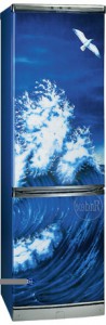 Kuva Jääkaappi Hotpoint-Ariston ERFV 402D WV, arvostelu
