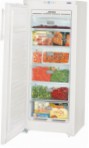 Liebherr GN 2323 冷蔵庫 冷凍庫、食器棚 レビュー ベストセラー