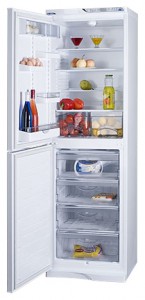 larawan Refrigerator ATLANT МХМ 1848-63, pagsusuri