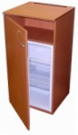 Смоленск 8А-01 Chladnička chladnička s mrazničkou preskúmanie najpredávanejší