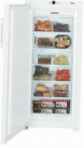 Liebherr GN 3113 šaldytuvas šaldiklis-spinta peržiūra geriausiai parduodamas