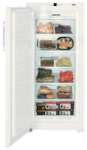 larawan Refrigerator Liebherr GNP 3113, pagsusuri