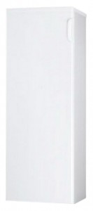 larawan Refrigerator Hisense RS-25WC4SAW, pagsusuri
