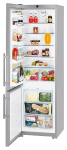 larawan Refrigerator Liebherr CNsl 4003, pagsusuri