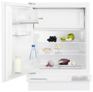 larawan Refrigerator Electrolux ERN 1200 FOW, pagsusuri
