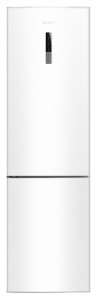 larawan Refrigerator Samsung RL-59 GYBSW, pagsusuri