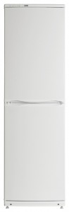 larawan Refrigerator ATLANT ХМ 6023-031, pagsusuri