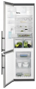 larawan Refrigerator Electrolux EN 93852 JX, pagsusuri